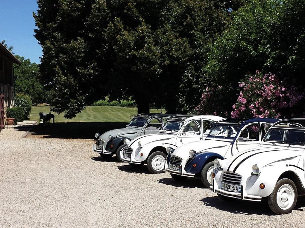 Domaine De Quittignan Brillette Hotel Moulis-en-Médoc Eksteriør billede