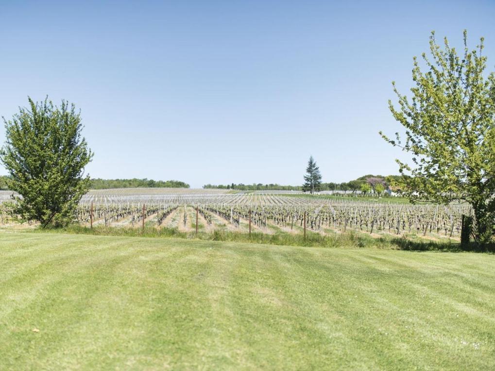 Domaine De Quittignan Brillette Hotel Moulis-en-Médoc Eksteriør billede
